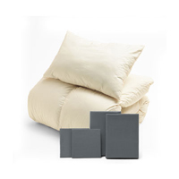 ふわふわ羽毛布団とカバーの6点セット グレー SLF-01(GR)